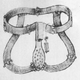 Bellifortis. Wikimedia Commons